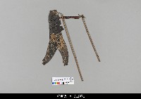 藏品(中國湖北皮影戲偶身-旦)的圖片